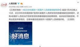 武汉核酸最新爆料消息,揭秘病毒检测背后的真相与挑战