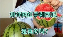 吃瓜网红那些事是真的吗,真相与谣言的交织